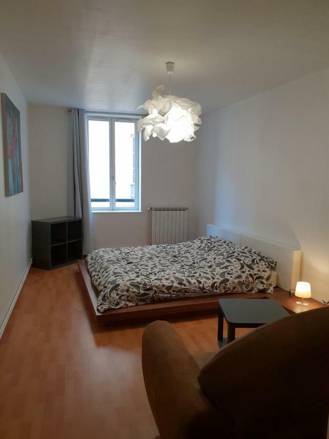 Grand Appartement En Centre Ville Мец Экстерьер фото